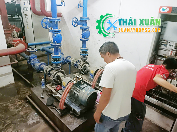 Kỹ thuật viên Cơ Điện Thái Xuân đang bảo trì bảo dưỡng hệ thống bơm tòa nhà chung cư